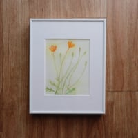 【作品販売】ひなげしのスケッチ