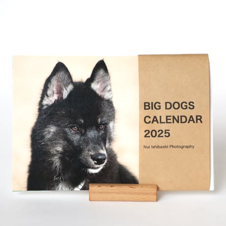 BIG DOGS CALENDAR 2025（卓上タイプ）