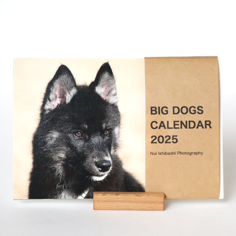 BIG DOGS CALENDAR 2025（卓上タイプ） | nuiishibashi on
