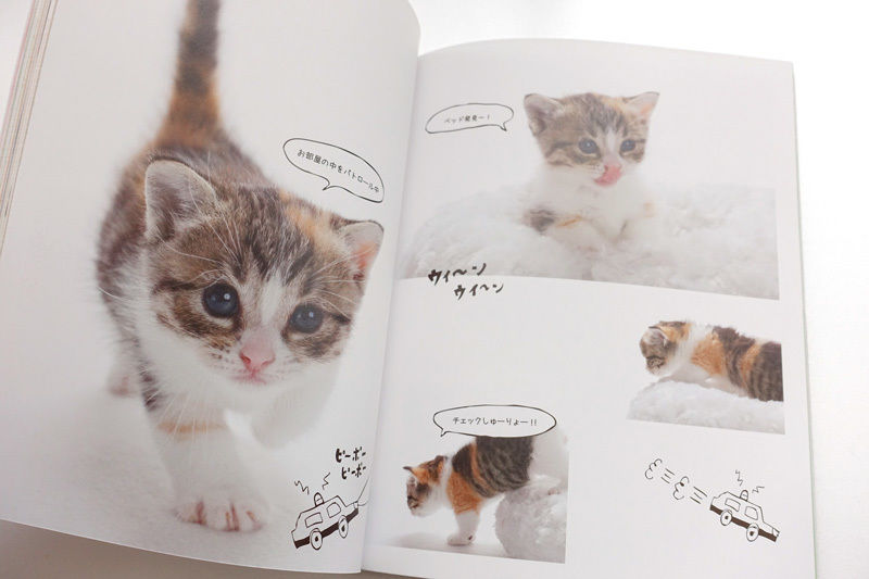 ねこもふ。でらっくす | nuiishibashi online store