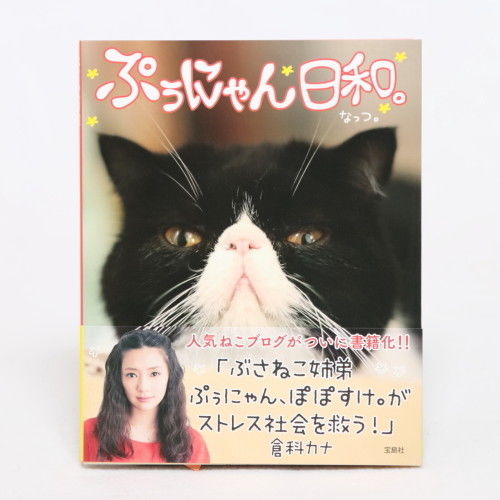 ぷぅにゃん日和。 | nuiishibashi online store