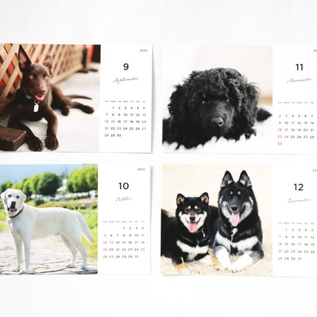 BIG DOGS CALENDAR 2025（卓上タイプ）