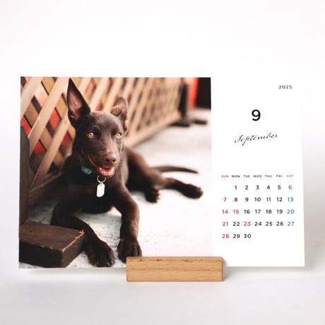 BIG DOGS CALENDAR 2025（卓上タイプ）