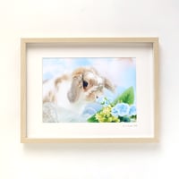 石橋絵写真展 in DAN'S HOUSE 【作品販売】