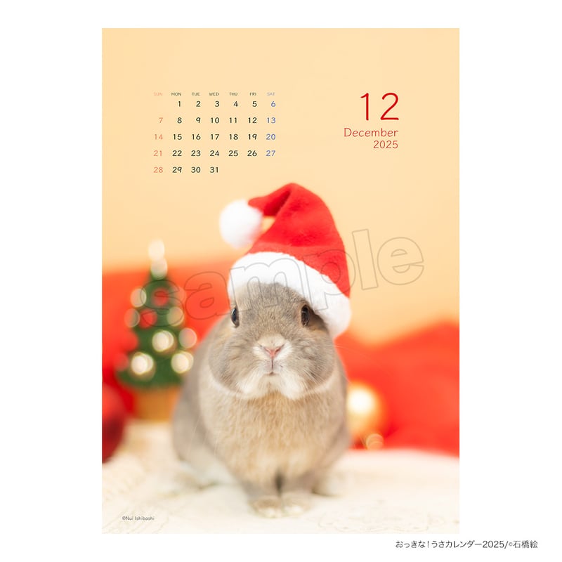 ※うさぎのロビン※ジャーナルスタンダード　モッサフードコート えっくす☆きゅーと「Star Sprinkles/ Moon Rabbit Miu」アゾン