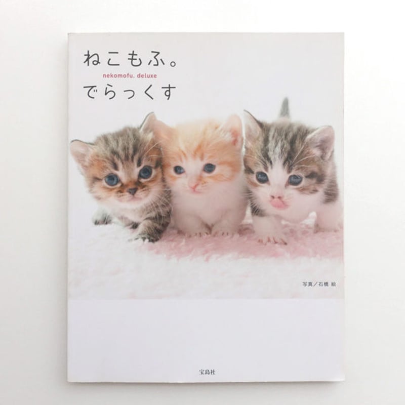ふくねこです。 会社猫「ふく」グッズ登場。 | 株式会社フェイスのプレスリリース