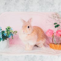 【オーダー】オリジナルブランケット