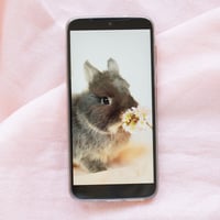 【オーダー】ミニデータ