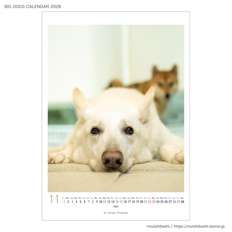 BIG DOGS CALENDAR 2026 | nuiishibashi online store