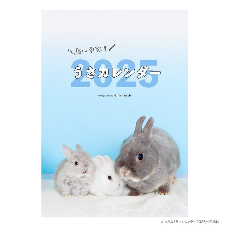おっきな！うさカレンダー2025（壁掛けタイプ） | nuiishibashi