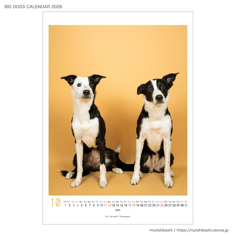 大きい犬と小さい犬のカレンダー（5） 2026年カレンダー ワイド判 ミニチュア・ダックスフンド | 株式会社誠