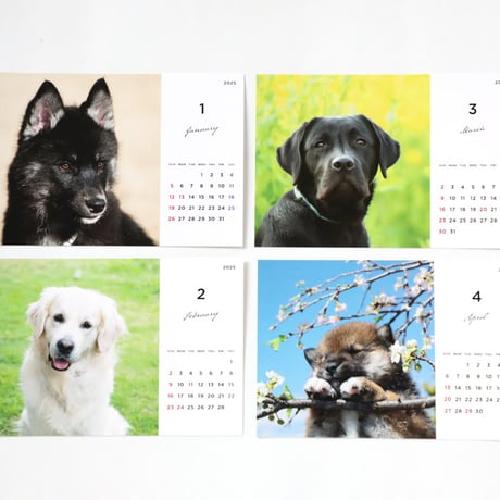BIG DOGS CALENDAR 2025（卓上タイプ）