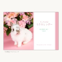 ちっちゃな！うさカレンダー