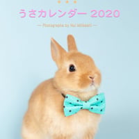 おっきな！うさカレンダー2020