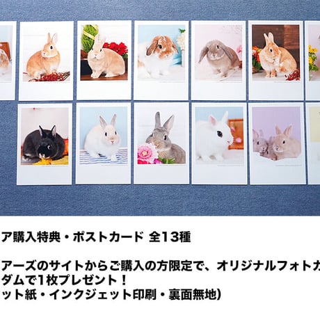 ちっちゃな！うさカレンダー2022
