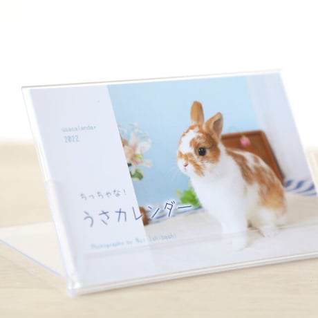 ちっちゃな！うさカレンダー2022