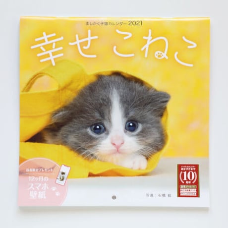 ましかく子猫カレンダー『幸せこねこ』（壁掛けカレンダー）