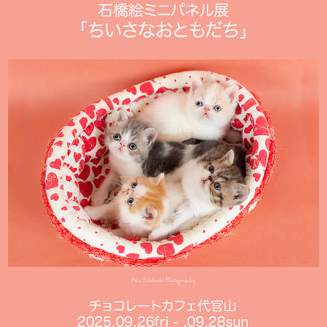 代官山ギャラリーSPACE K企画展【作品販売】
