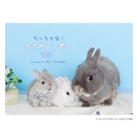 ちっちゃな！うさカレンダー2025（卓上タイプ）
