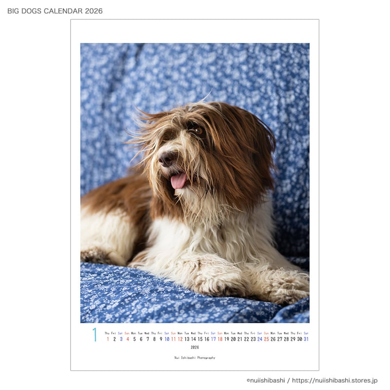 BIG DOGS CALENDAR 2026 | nuiishibashi online store