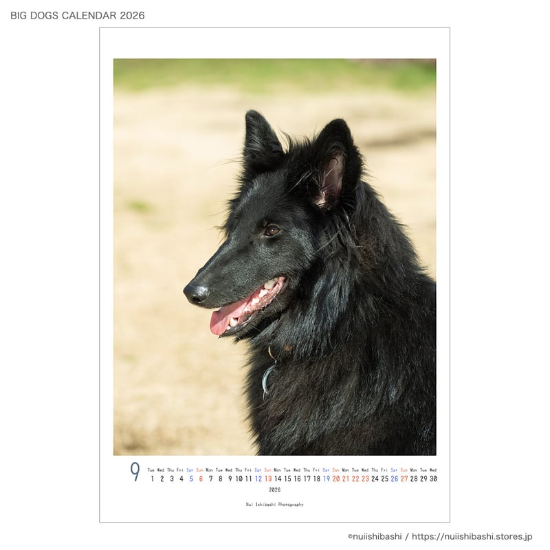 BIG DOGS CALENDAR 2026 | nuiishibashi online store
