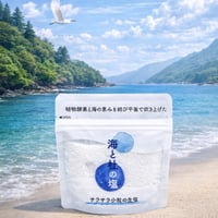 海と杜の塩 サラサラ小粒の生塩 100g