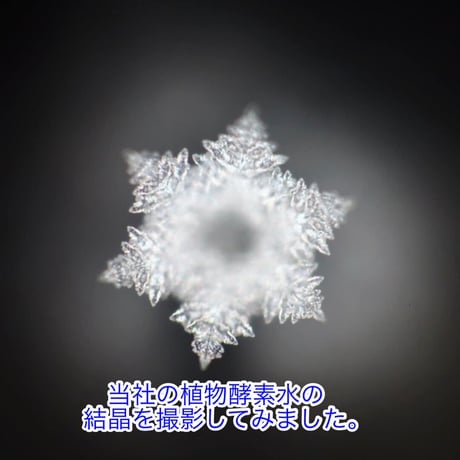 海と杜の塩 サラサラ小粒の生塩 100g