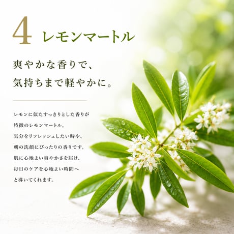 植物酵素の純せっけん うららか 100g 《あたたまる酵素せっけん》
