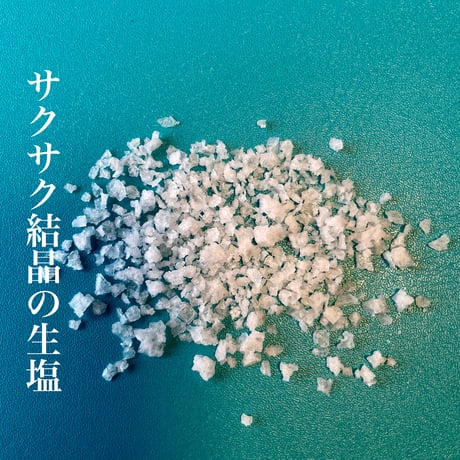 海と杜の塩 サクサク結晶の生塩 100g