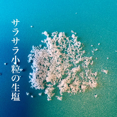 海と杜の塩 サラサラ小粒の生塩 100g