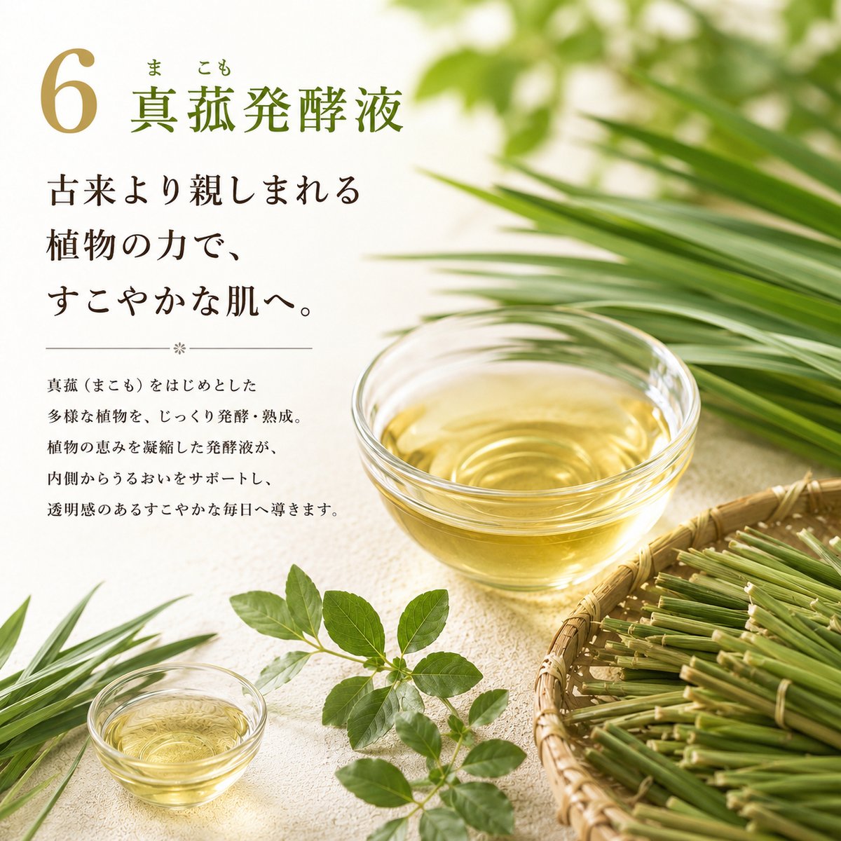 植物酵素の純せっけん うららか 100g 《あたたまる酵素せっけん