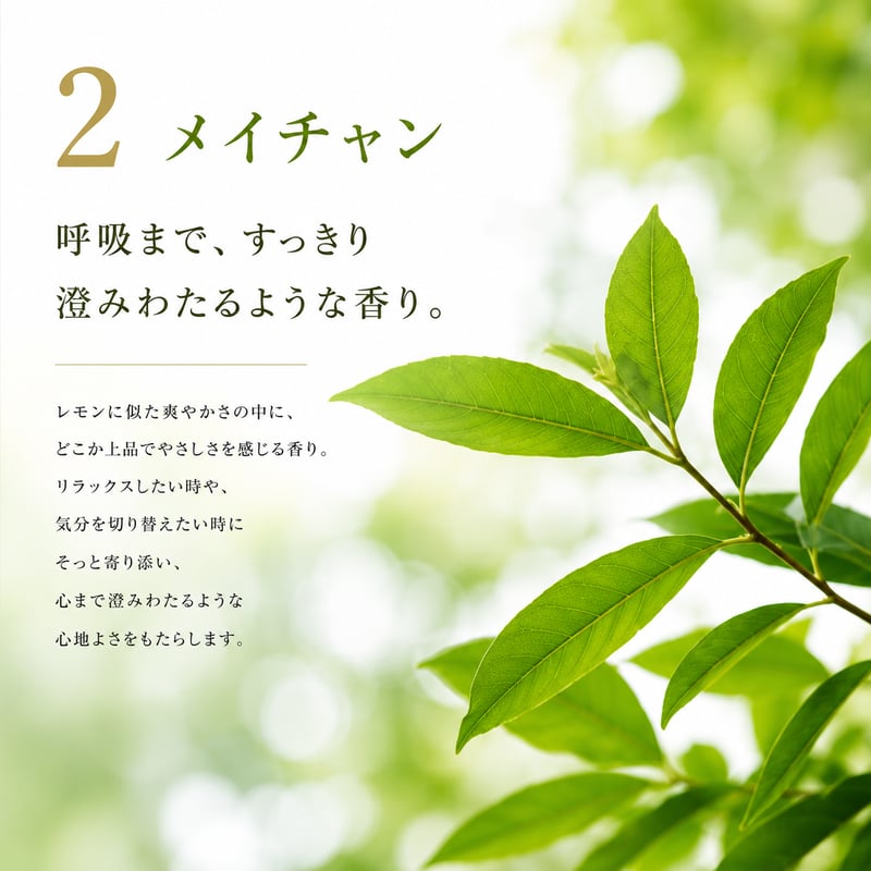 植物酵素の純せっけん うららか 100g 《あたたまる酵素せっけん