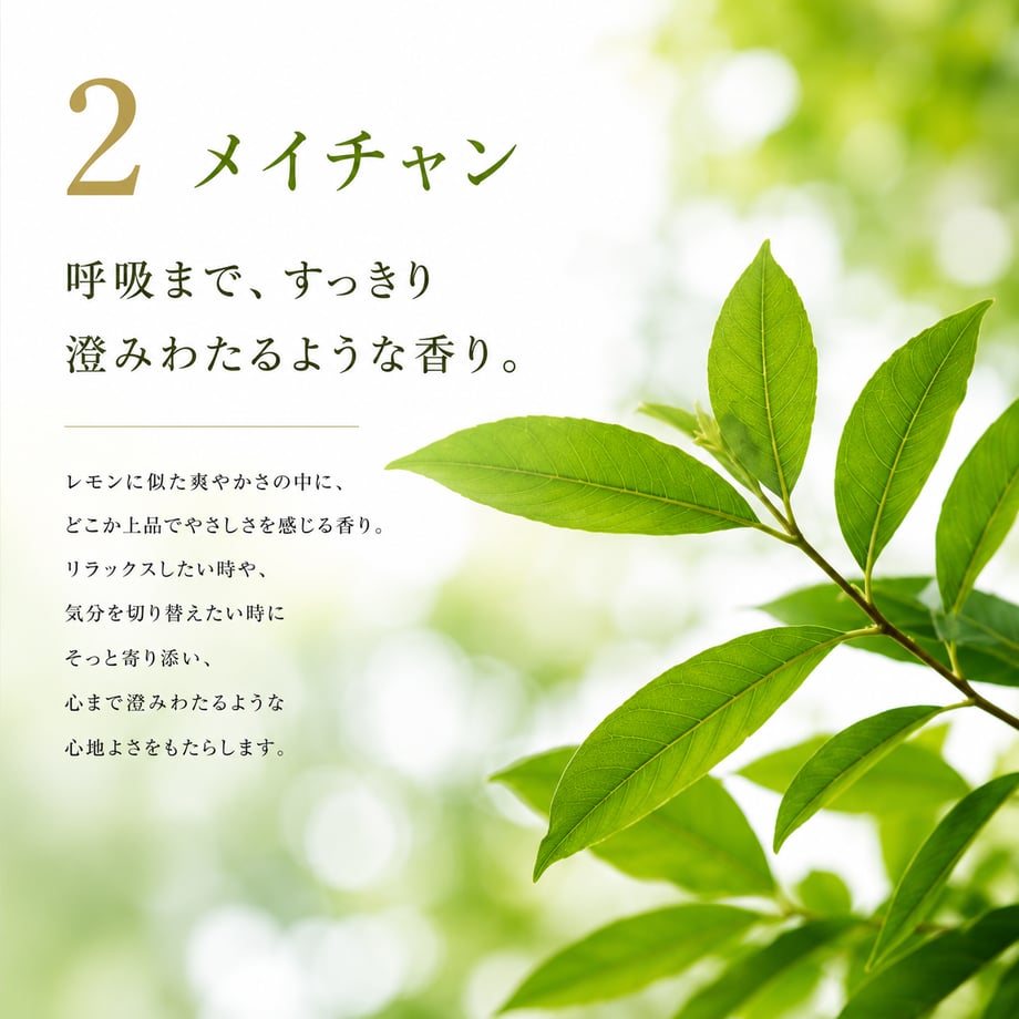 61ced4611dca326857eb8b58