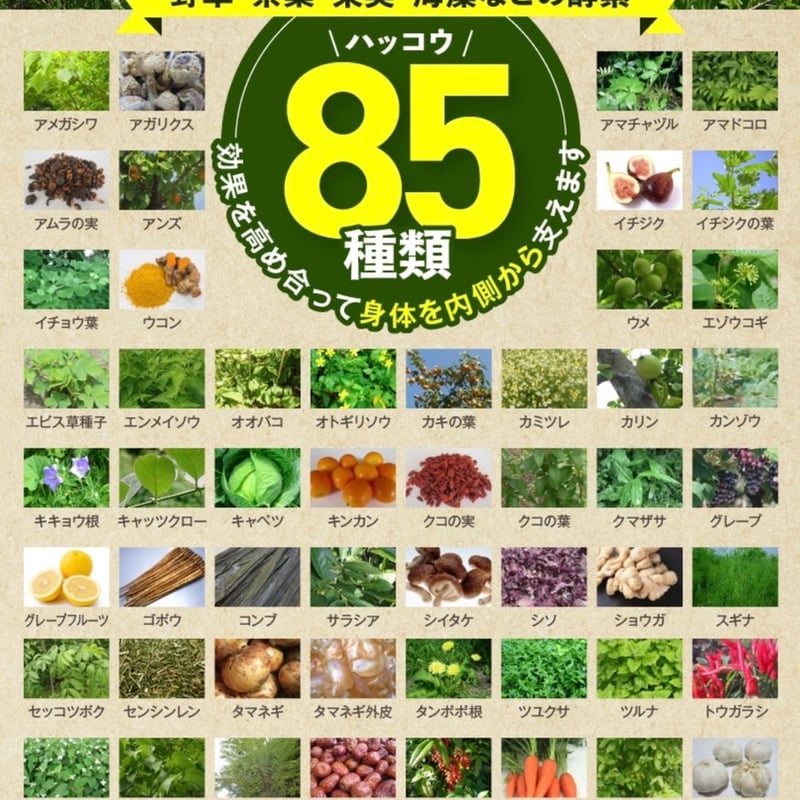 養緑 720ml 3本セット 【公式通販】