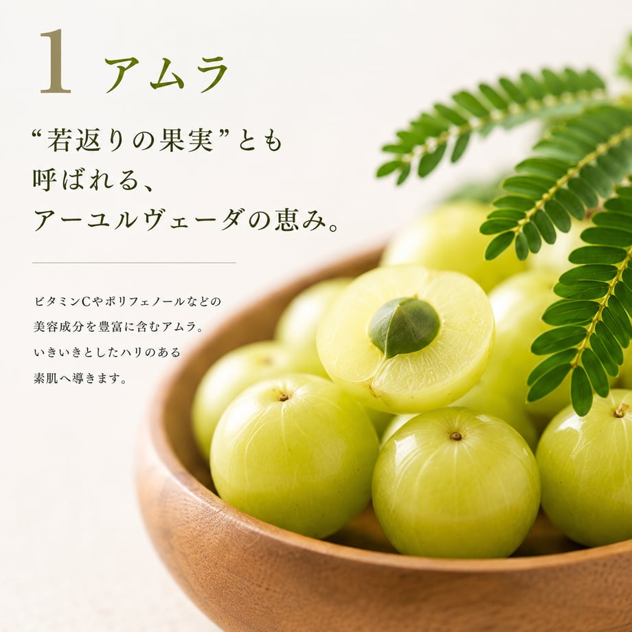 61ced4611dca326857eb8b58