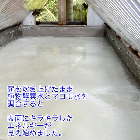 海と杜の塩 サクサク結晶の生塩 100g