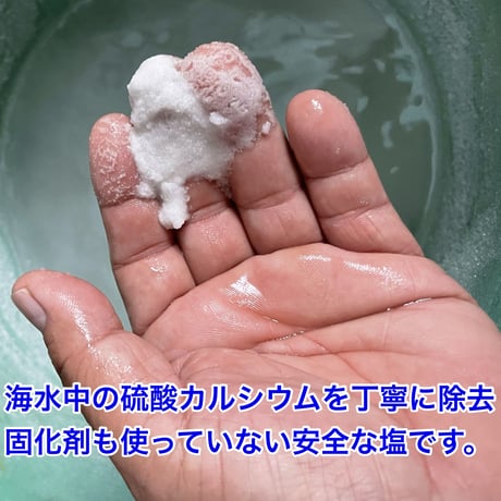 海と杜の塩 サクサク結晶の生塩 100g