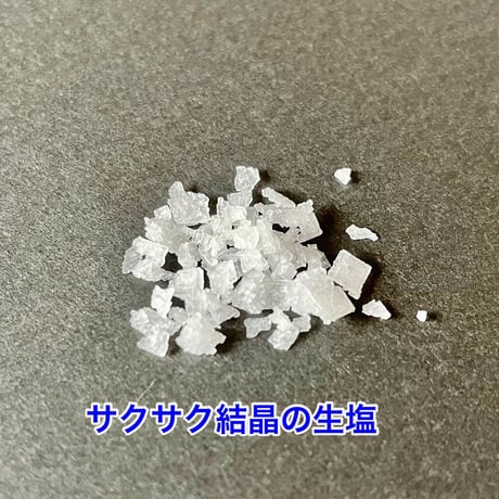 海と杜の塩 サクサク結晶の生塩 100g