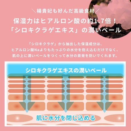 敏感肌 肌荒れ に 美肌菌 を新配合  アクアモイスチャーゲル 420g 詰替え　2個セット  ( 敏感肌 / トラブル肌 ) オールインワンゲル / 保湿 / セラミド
