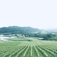 夢の丘