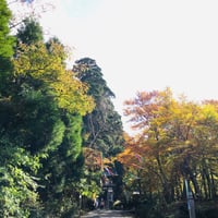 大山烏天狗