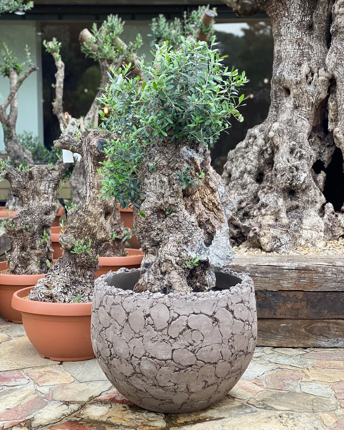 Import 2020/2 No.19 DOMANI Lava pot 60 | narus