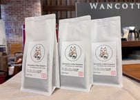 珈琲豆「Brazil サンタクララ農園 イエローカトゥアイ アナエロビックナチュラル  〜Light Roast〜」100g