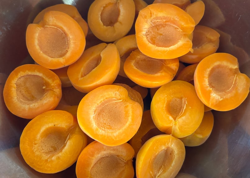 あんずちゃん | KOBUTASHA