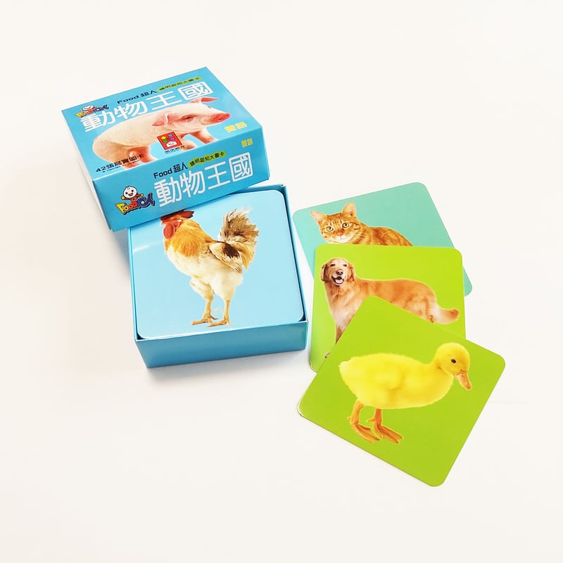 在庫限り】中国語 もののなまえカード（知育玩具） | 中国・台湾・香港