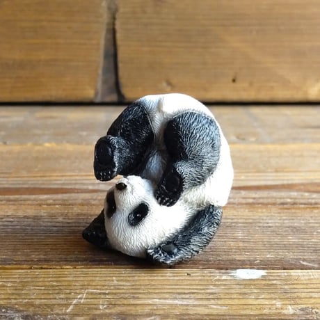 大熊猫 | STORES