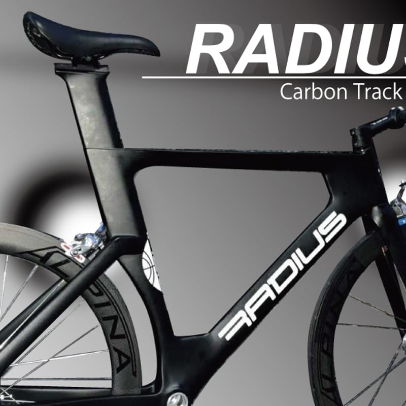 ブレーキが付く、カーボントラックフレーム | katsuris cycle web store