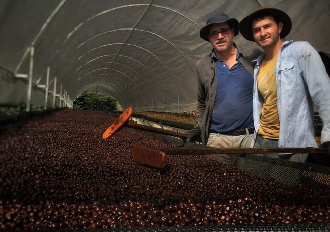 Green Forest Coffee -コーヒー生豆仕入れ-