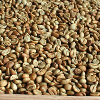 （生豆）コスタリカ　ブルンカ地方チリポ山　リベンス　ナチュラル　2019　1kg