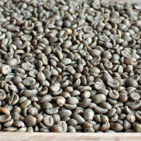 コスタリカ8kg＋パナマ２kg 生豆 コスタリカ8kg＋パナマ2kg 生豆 CATEGORY 生豆 | Puente Coffee
